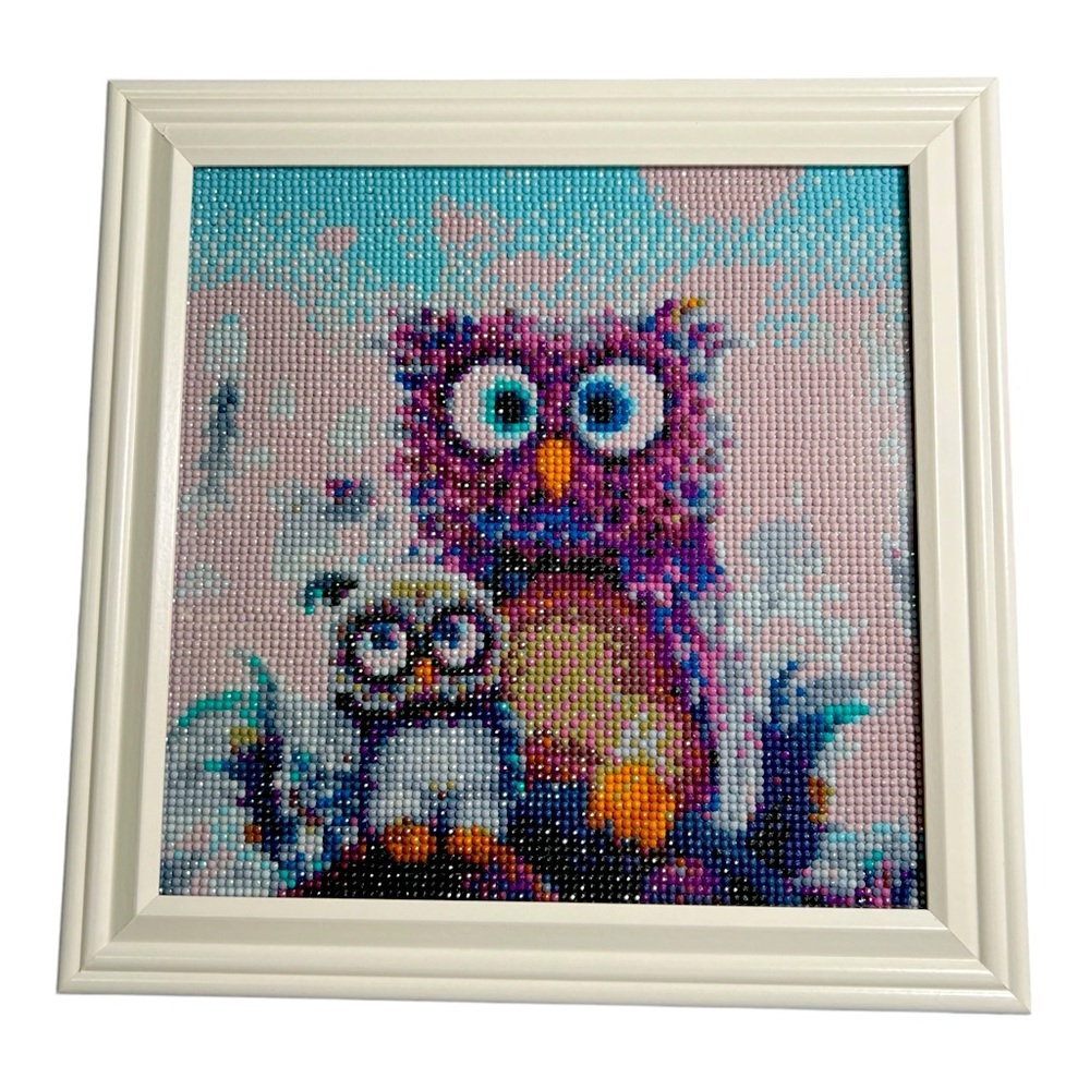 Owl Diamond Art Painting Finished in a 12x12 Frame
